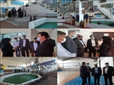 ساداتی: سرانه ورزشی در لواسان باید تقویت شود