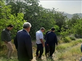  بازدید بخشدار لواسانات از روستای کردیان