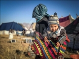 استقرار 550 خانوار عشایری در منطقه ییلاقی لار شمیرانات