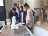 اصناف متخلف محله بوکان شمیران اخطار گرفتند 