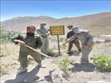  آزادسازی بیش از ۹۰۰ مترمربع از اراضی ملی شمیرانات 