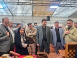 بازدید فرماندار شهرستان شمیرانات از نمایشگاه صنایع دستی در مجموعه فرهنگی و تاریخی سعدآباد