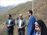 بازدید میدانی فرماندار شمیرانات از جاده رانشی تلخاب شهر شمشک دربندسر و محور منتهی به دیزین