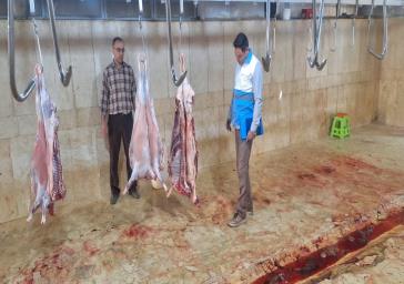 بازدید از کشتارگاه ها و مراکز عرضه دام به مناسبت عید سعید قربان